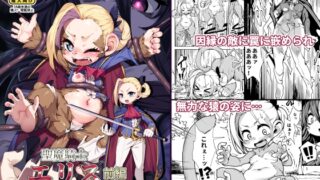 RJ01116585 img main 320x180 - 聖魔騎士エリス ～ザコ猿化の呪い～ 前編