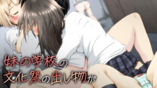 RJ01140677 img main 320x180 - 妹の学校の文化祭の出し物がトイレだったお話