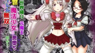 RJ01159194 img main 320x180 - vol.9 異世界帰りの元魔王は現世で魔法少女を悪堕ちさせてハーレム無双しますが何か?