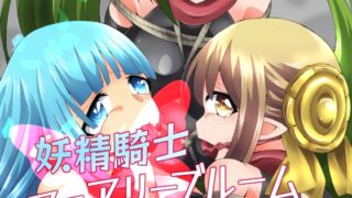 RJ01196821 img main 320x180 - 妖精騎士フェアリーブルーム第8話