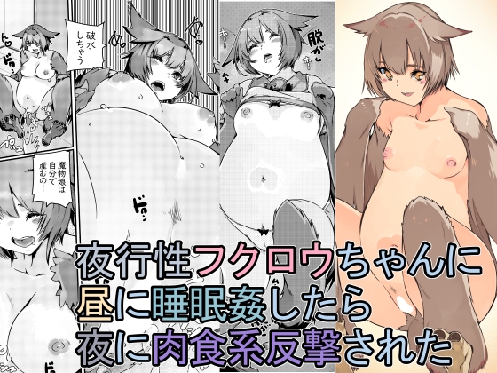 RJ01204419 img main - 夜行性フクロウちゃんに昼に睡眠○したら夜に肉食系反撃された
