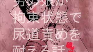 RJ01215144 img main 320x180 - 男の娘が拘束状態で尿道責めを耐える話