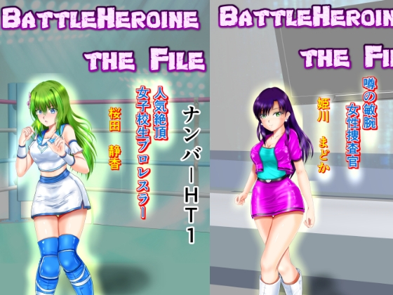 RJ01230599 img main - BattleHeroine The File V5 ナンバーHT1・HT2・HT3
