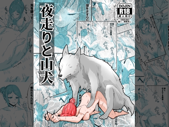 RJ01232326 img main - 夜走りと山犬