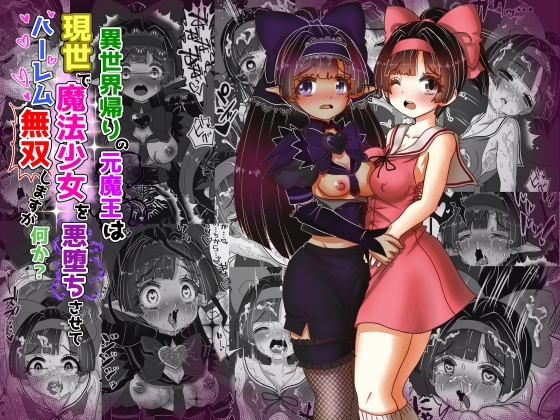 RJ01240130 img main - vol.14 異世界帰りの元魔王は現世で魔法少女を悪堕ちさせてハーレム無双しますが何か?【ポニテお姉ちゃん編】