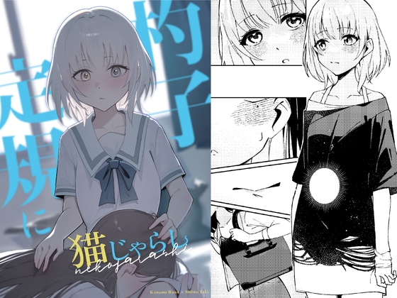 RJ01240150 img main - 杓子定規に猫じゃらし
