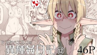 RJ01241160 img main 320x180 - ドスケベエルフの異種姦日記12