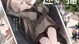 RJ01287468 img main 320x180 - 迷い猫【フルカラー版】