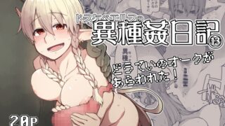 RJ01315334 img main 320x180 - ドスケベエルフの異種姦日記13
