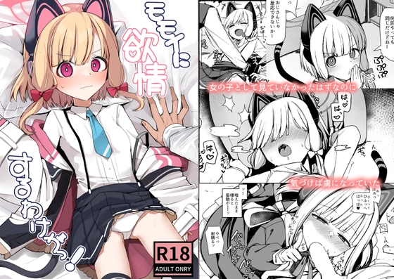 RJ01315351 img main - モモイに欲情するわけがっ!