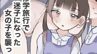 RJ01318819 img main 320x180 - 修学旅行で迷子になった女の子を襲った
