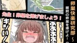 RJ01375299 img main 160x90 - 卵巣快楽研究部～顧問の卵巣を掌握せよ！の巻き～