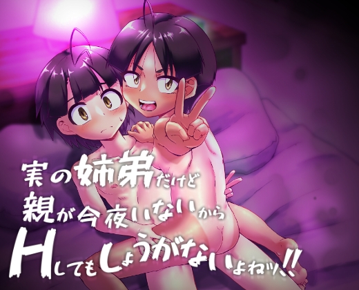 RJ01376943 img main - 実の姉弟だけど親が今夜いないからHしてもしょうがないよねッ！！