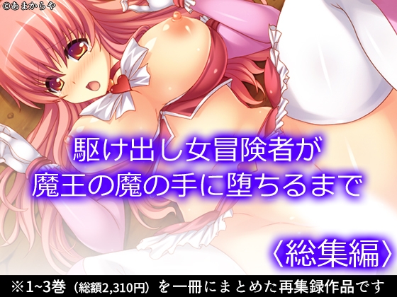 RJ01398609 img main - 駆け出し女冒険者が魔王の魔の手に堕ちるまで  <総集編>