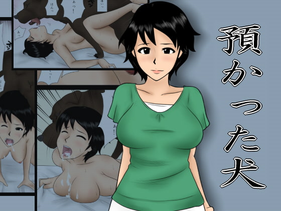 RJ047152 img main - 預かった犬