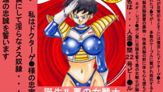 RJ064167 img main 320x180 - 誕生!!悪の女戦士 ビー○ル洗脳改造計画