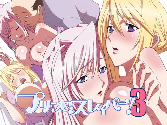 RJ101344 img main - プリンセスレイパー3