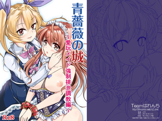 RJ117111 img main - 青薔薇の城～愛玩メイド強○排泄調教編～