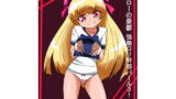 RJ142314 img main 160x90 - ヒーローの憂鬱強敵!○リ幹部パール3!