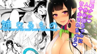 RJ163707 img main 320x180 - 姉なるもの