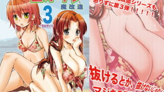 RJ185008 img main 320x180 - エイケン魔改造3