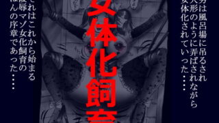 RJ194134 img main 320x180 - 女体化飼育