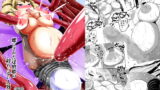 RJ204985 img main 160x90 - 蝶にされた達磨姫の終わらない人外産卵