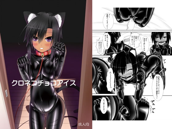 RJ221073 img main - クロネコチョコアイス