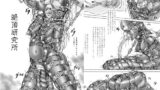 RJ221754 img main 160x90 - 絶頂研究所