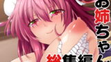 RJ235305 img main 160x90 - お姉ちゃん総集編
