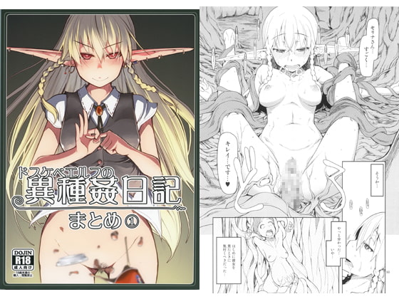 RJ243283 img main - ドスケベエルフの異種姦日記 まとめ1