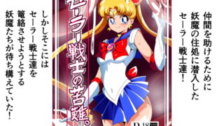 RJ250885 img main 320x180 - セーラー戦士の苦難