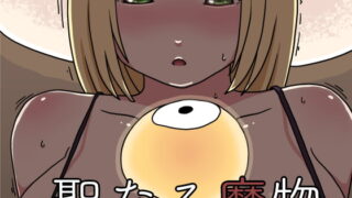 RJ266125 img main 320x180 - 聖なる魔物