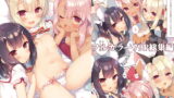 RJ296749 img main 160x90 - Pr○sma★collection