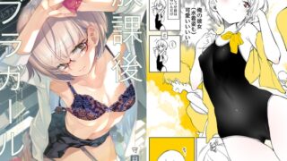 RJ303296 img main 320x180 - 放課後ブラガール2