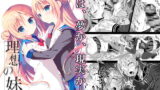 RJ310296 img main 160x90 - 理想の妹 4