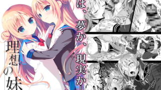 RJ310296 img main 320x180 - 理想の妹 4