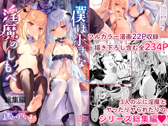 RJ312828 img main - 僕は小さな淫魔のしもべ総集編