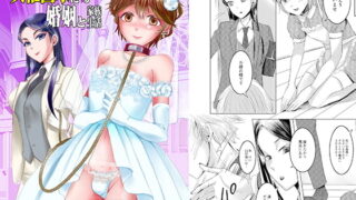 RJ320110 img main 320x180 - 女権国家における婚姻と家族生活