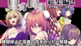 RJ338285 img main 160x90 - 東方時姦総集編2