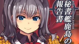RJ369726 img main 320x180 - 秘書艦鹿島の報告書