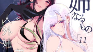 RJ378909 img main 320x180 - 姉なるもの11