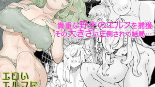 RJ384127 img main 320x180 - エロいエルフにご用心