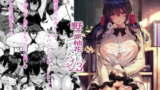 RJ406769 img main 320x180 - 野々原柚花のヒミツのハイシン3