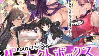 RJ431555 img main 320x180 - ROUTE1 平つくね パーフェクトボックス