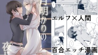 RJ01072788 img main 320x180 - 月明かりの夜に