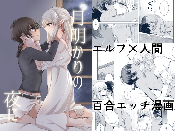 RJ01072788 img main - 月明かりの夜に