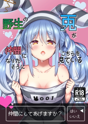 RJ01083603 img main - 野生の兎が仲間になりたそうにこちらを見ている