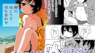 RJ01106320 img main 320x180 - 岬の向こうで待ちあわせ