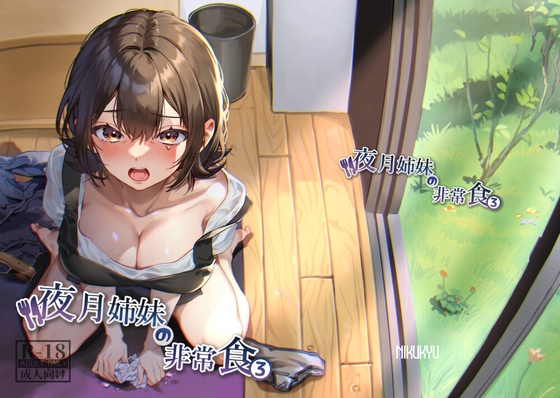RJ01129196 img main - 夜月姉妹の非常食3